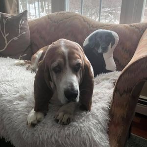 Meet your Posher, Jeff